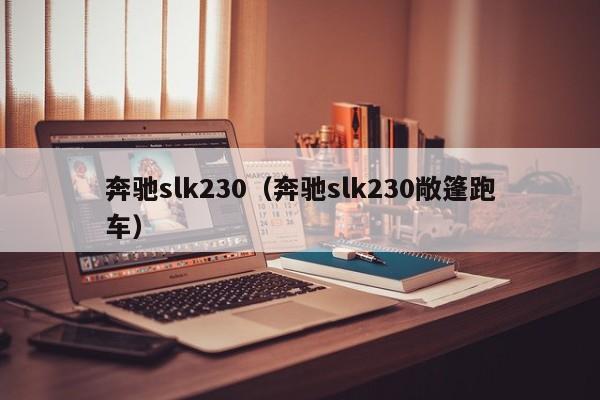 奔驰slk230（奔驰slk230敞篷跑车）