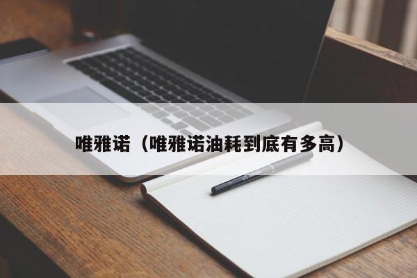 唯雅诺（唯雅诺油耗到底有多高）