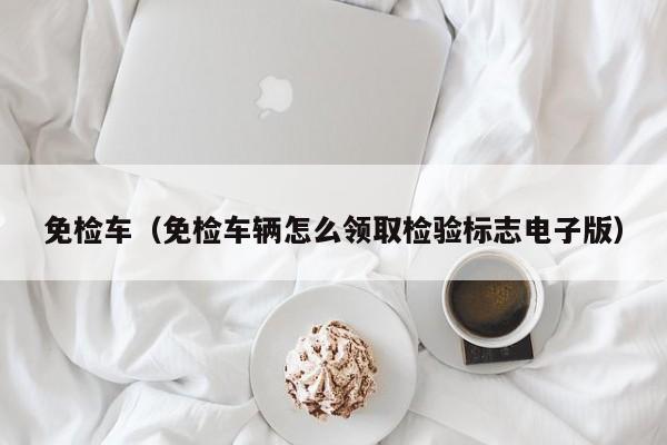 免检车（免检车辆怎么领取检验标志电子版）
