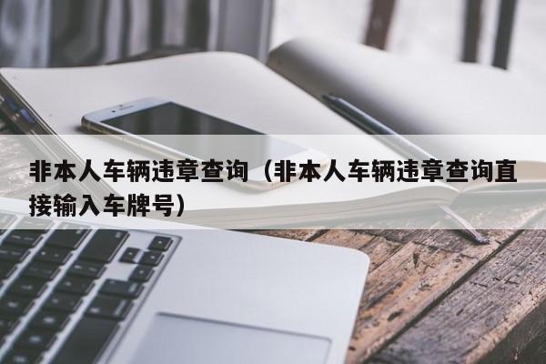 非本人车辆违章查询（非本人车辆违章查询直接输入车牌号）