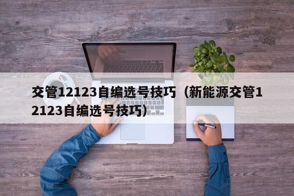 交管12123自编选号技巧（新能源交管12123自编选号技巧）