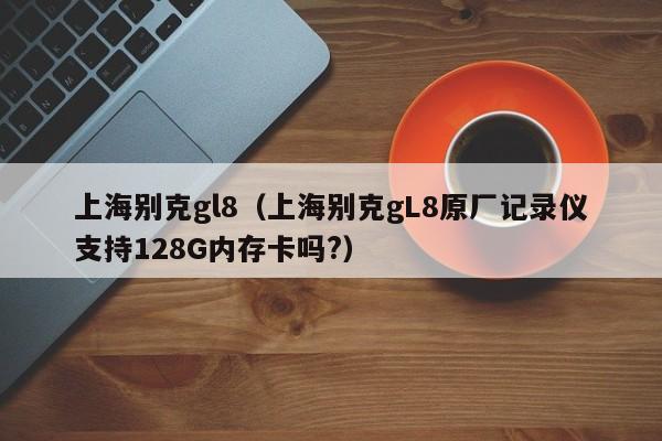 上海别克gl8（上海别克gL8原厂记录仪支持128G内存卡吗?）