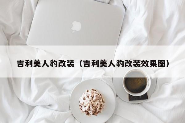 吉利美人豹改装（吉利美人豹改装效果图）
