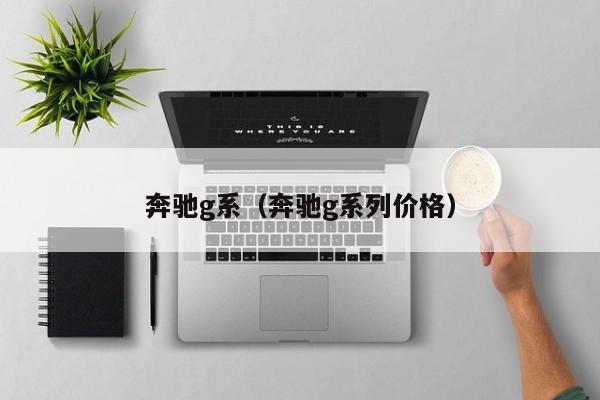 奔驰g系（奔驰g系列价格）