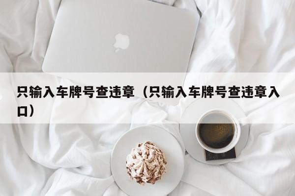 只输入车牌号查违章（只输入车牌号查违章入口）