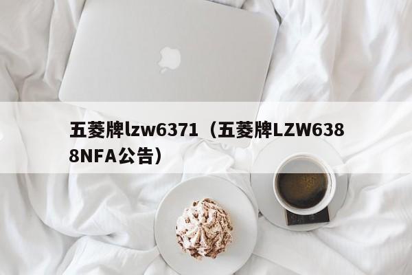 五菱牌lzw6371（五菱牌LZW6388NFA公告）