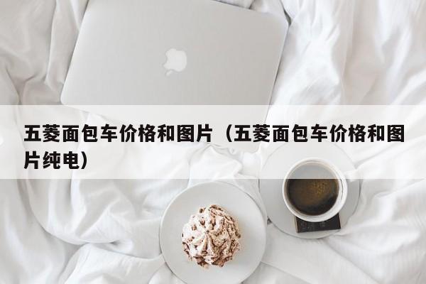 五菱面包车价格和图片（五菱面包车价格和图片纯电）