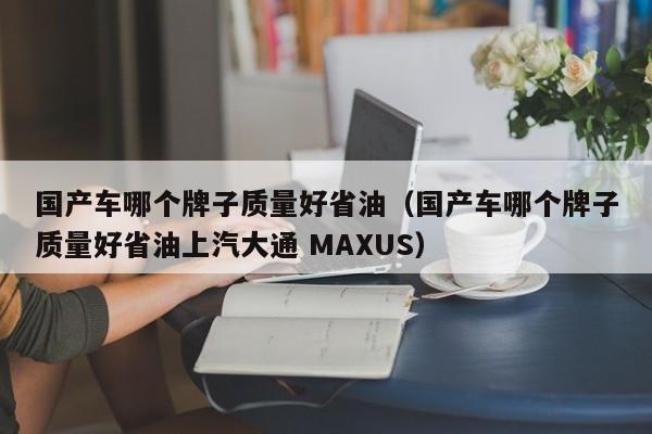 国产车哪个牌子质量好省油（国产车哪个牌子质量好省油上汽大通 MAXUS）