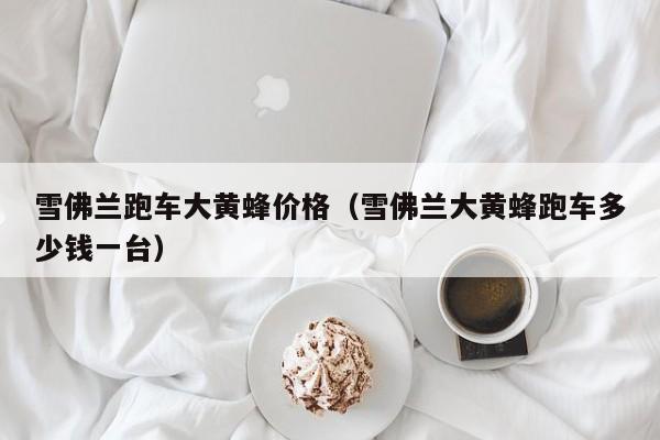 雪佛兰跑车大黄蜂价格（雪佛兰大黄蜂跑车多少钱一台）