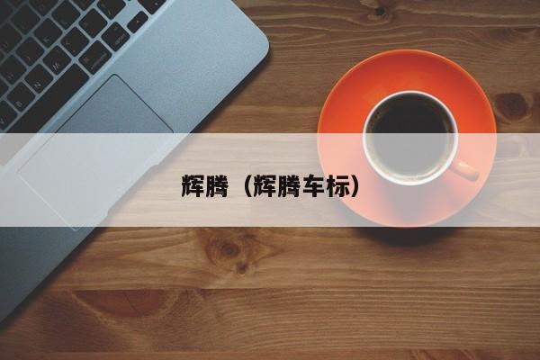 辉腾（辉腾车标）