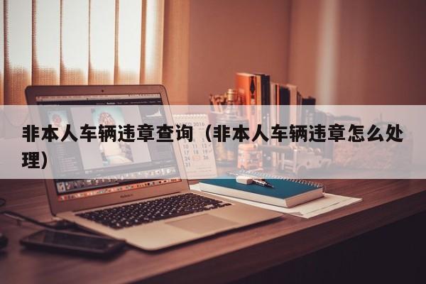 非本人车辆违章查询（非本人车辆违章怎么处理）