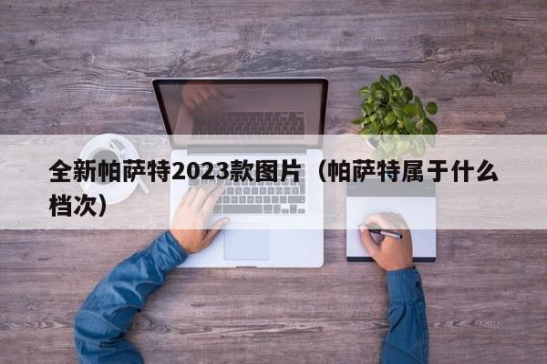 全新帕萨特2023款图片（帕萨特属于什么档次）