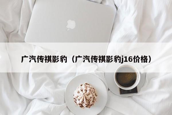 广汽传祺影豹（广汽传祺影豹j16价格）