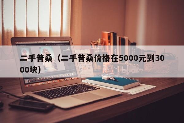 二手普桑（二手普桑价格在5000元到3000块）