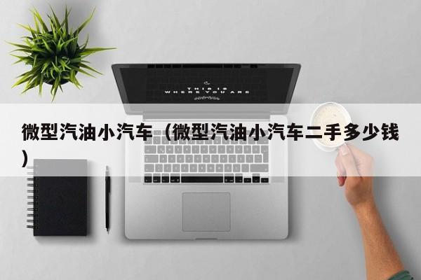 微型汽油小汽车（微型汽油小汽车二手多少钱）