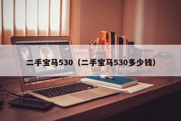 二手宝马530（二手宝马530多少钱）
