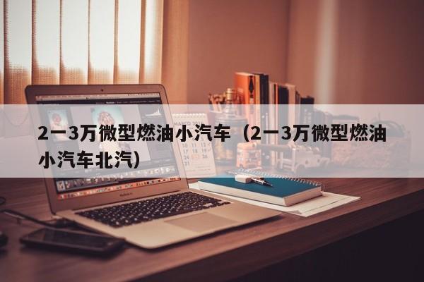 2一3万微型燃油小汽车（2一3万微型燃油小汽车北汽）