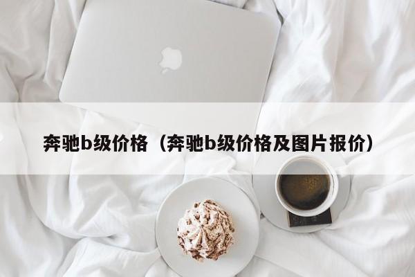 奔驰b级价格（奔驰b级价格及图片报价）