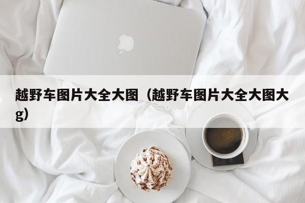越野车图片大全大图（越野车图片大全大图大g）