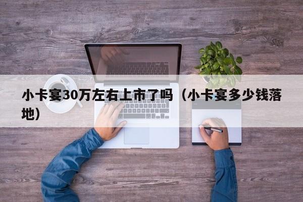 小卡宴30万左右上市了吗（小卡宴多少钱落地）