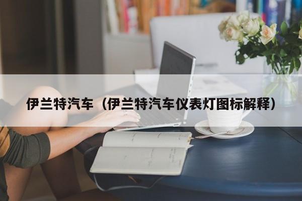 伊兰特汽车（伊兰特汽车仪表灯图标解释）