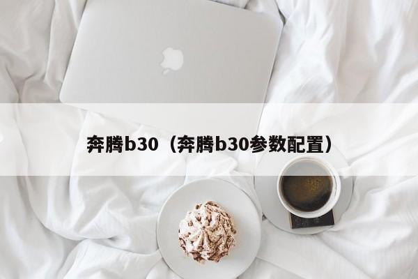 奔腾b30（奔腾b30参数配置）