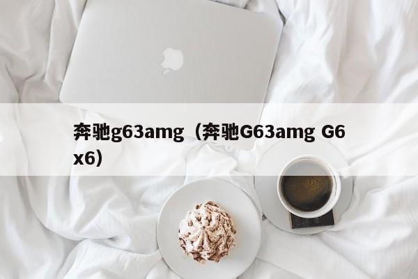 奔驰g63amg（奔驰G63amg G6x6）