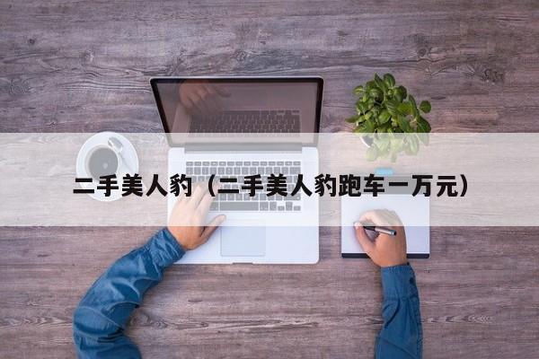 二手美人豹（二手美人豹跑车一万元）