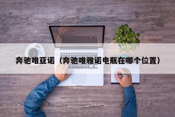 奔驰唯亚诺（奔驰唯雅诺电瓶在哪个位置）