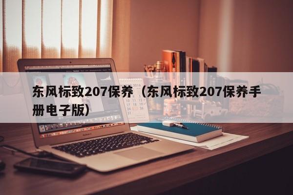 东风标致207保养（东风标致207保养手册电子版）
